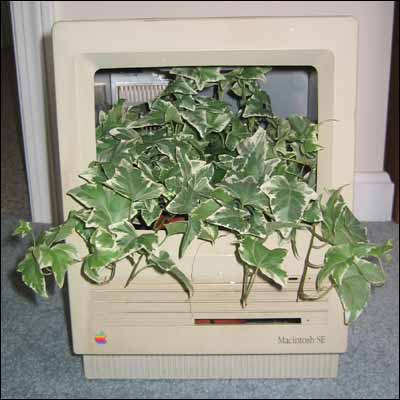 MacPlant